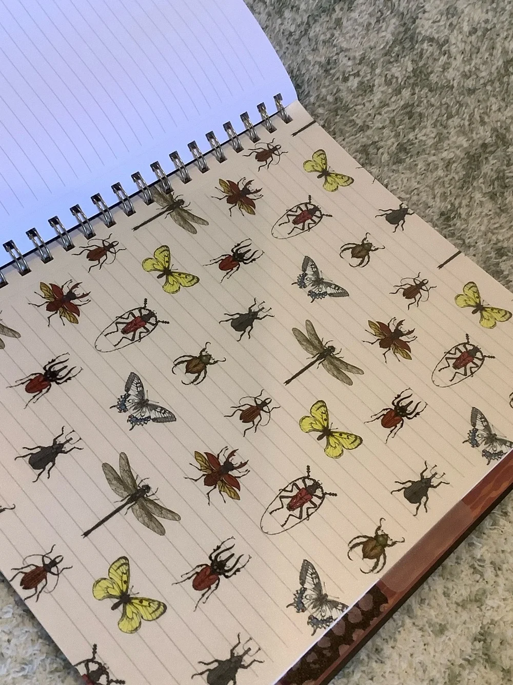 James Burke Collection Colorful Bugs Five Subject Notebook NWT 9.25x11” 120 page
